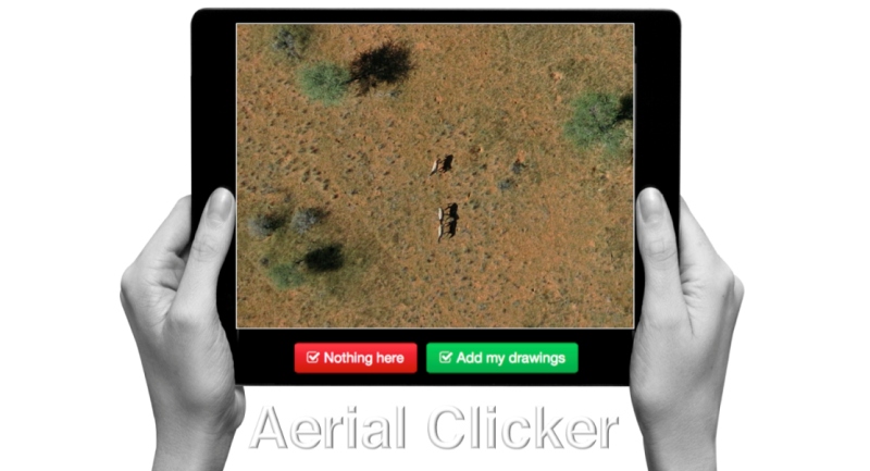 drone wildlife tag rhino giraffe aerial photo crowdsourcing analysis imagery trente
